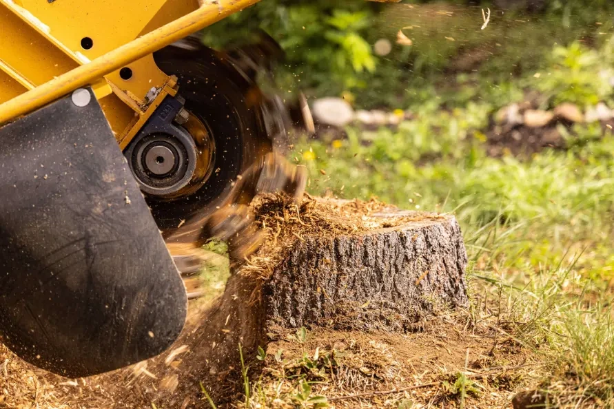 Peoria stump grinding