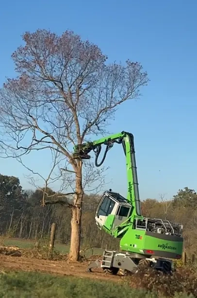 Tree Removal Peoria IL