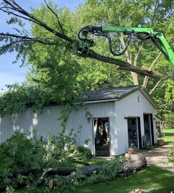 emergency tree removal Peoria IL