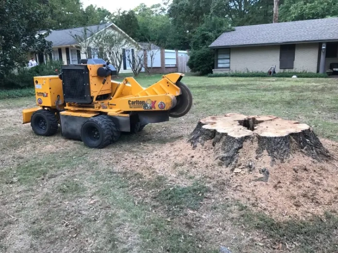 stump grinding