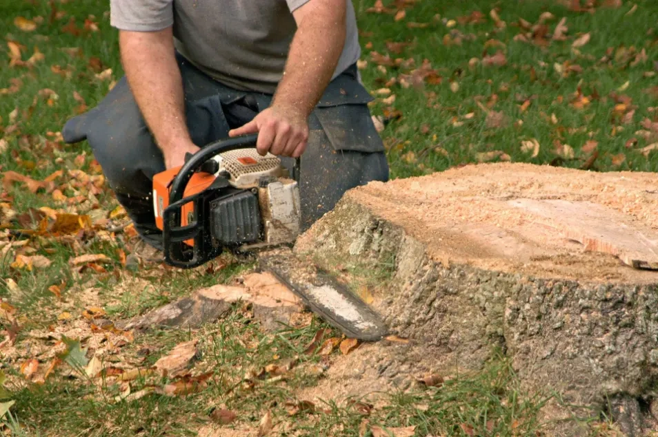 stump removal Peoria IL