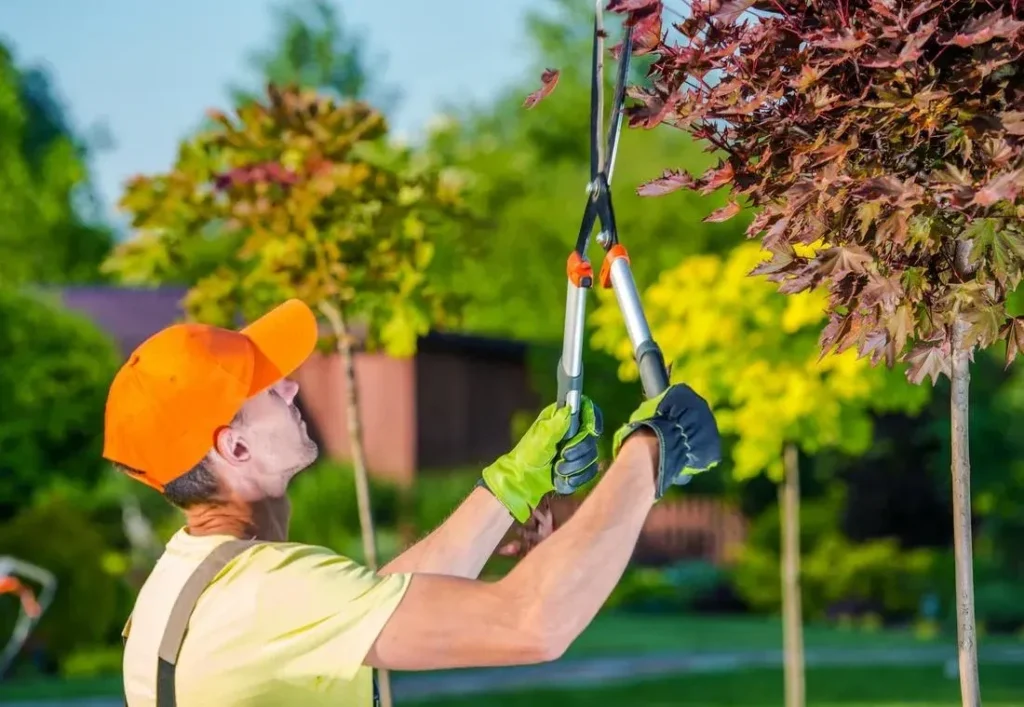 tree pruning services Peoria IL