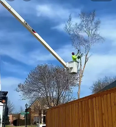 Homeowner reviewing HOA documents before scheduling tree removal in Peoria IL
