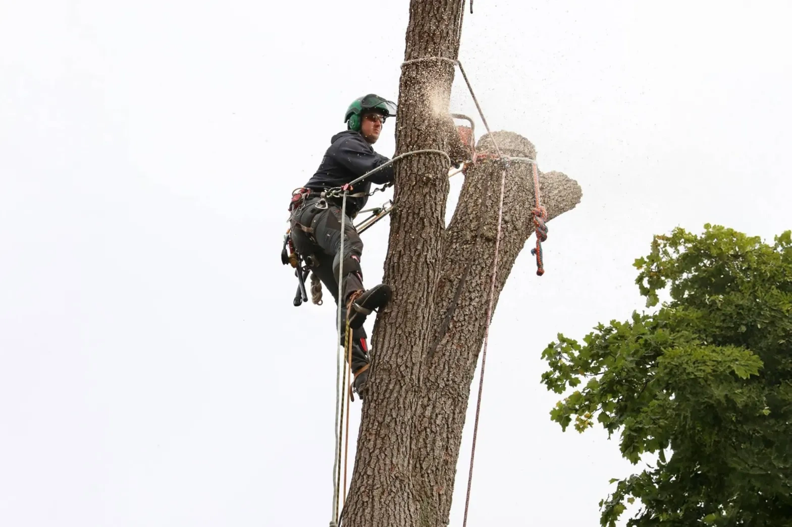 Tree service crew lead walking a property with a homeowner in Peoria IL before starting work
