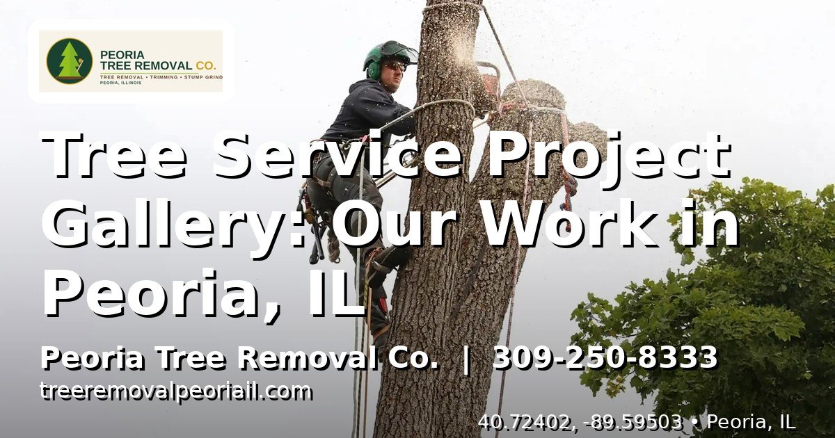 Tree removal crew at work on a large tree in Peoria IL — professional project gallery