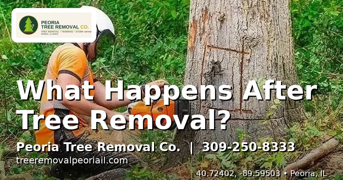 Cut firewood logs stacked neatly after a tree removal in Peoria IL