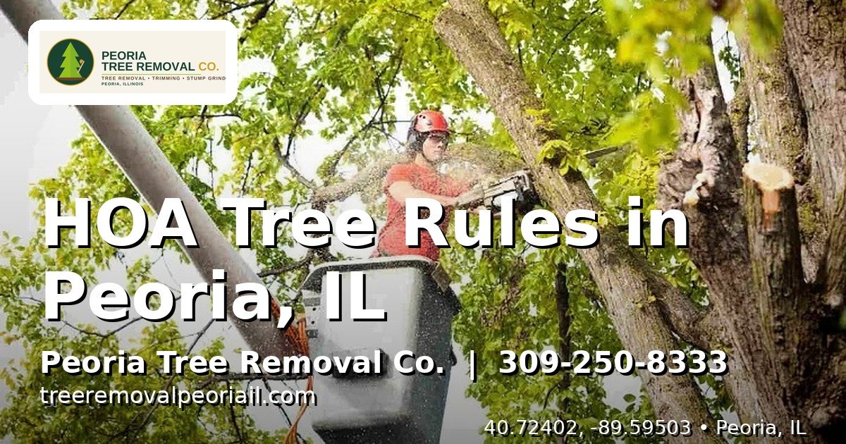 Suburban Peoria IL HOA neighborhood with street trees and maintained lawns