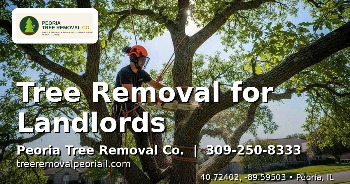 Tree service crew working at a rental property in Peoria IL — landlord tree removal service