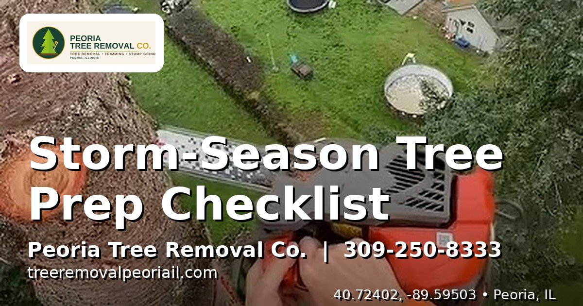 Arborist inspecting tree canopy for storm readiness in Peoria IL before storm season