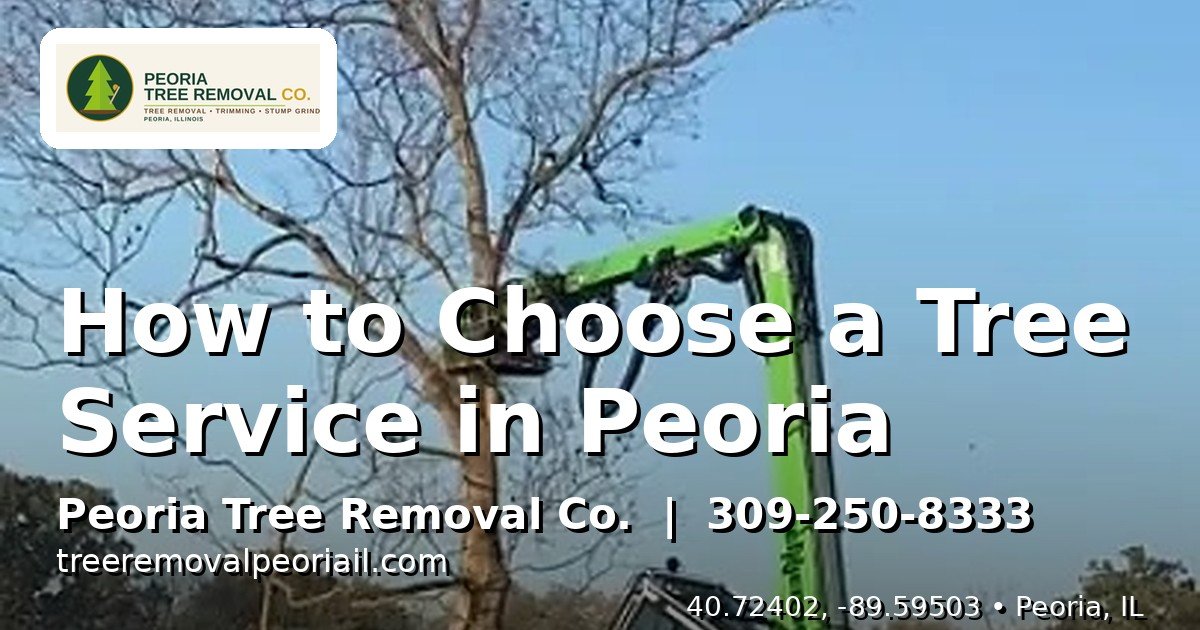 Professional tree service crew with proper safety gear working in Peoria IL