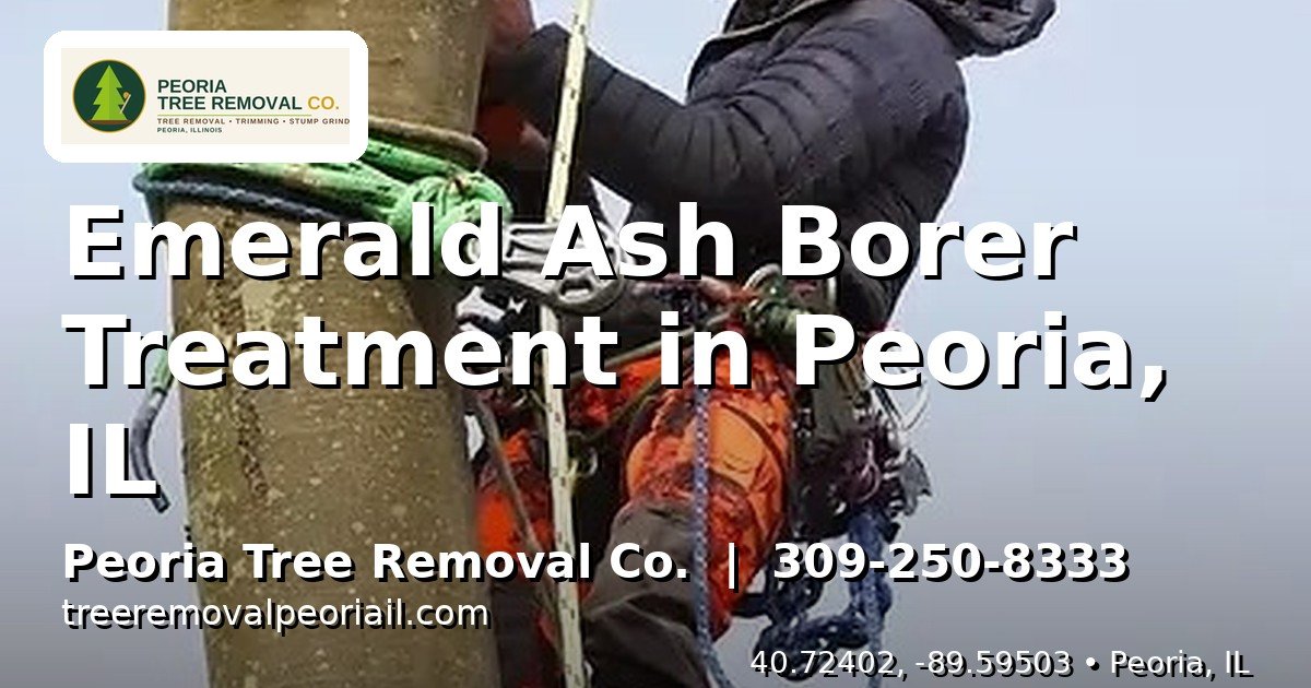 Emerald ash borer treatment Peoria IL - Peoria Tree Removal Co.