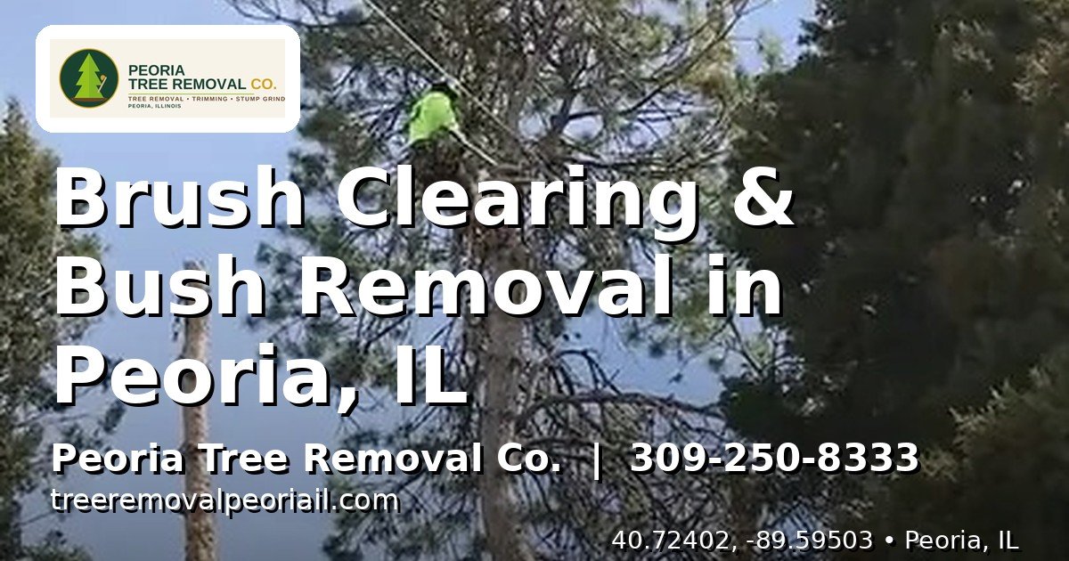 Brush clearing Peoria IL