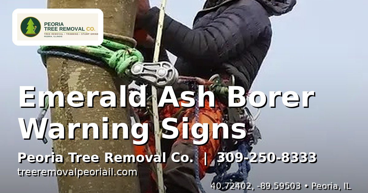 Emerald ash borer signs Peoria IL