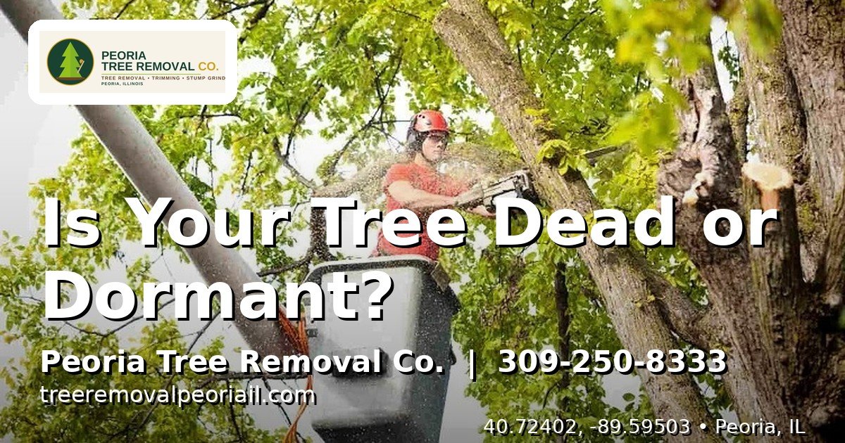 Is my tree dead or dormant Peoria IL