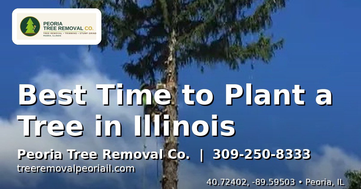 Best time to plant a tree Illinois
