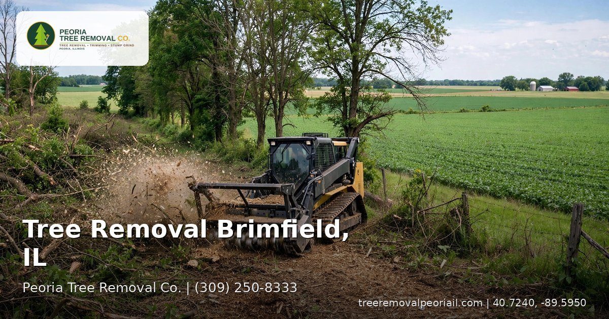 Tree removal in Brimfield, IL — forestry equipment clearing fencerow trees on a rural Illinois property
