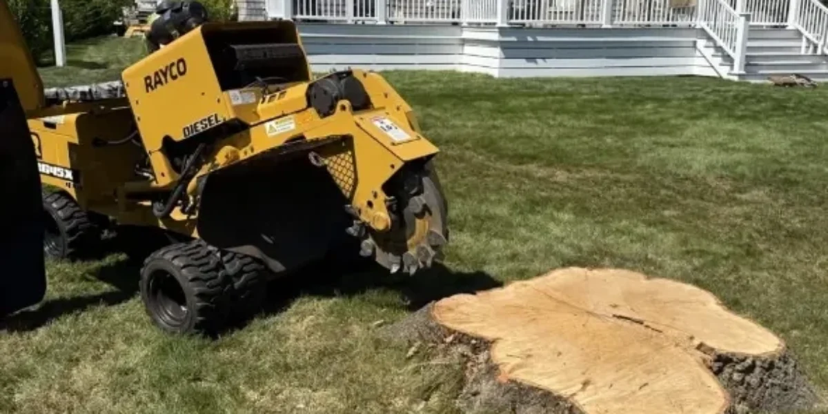 stump grinding service Peoria IL